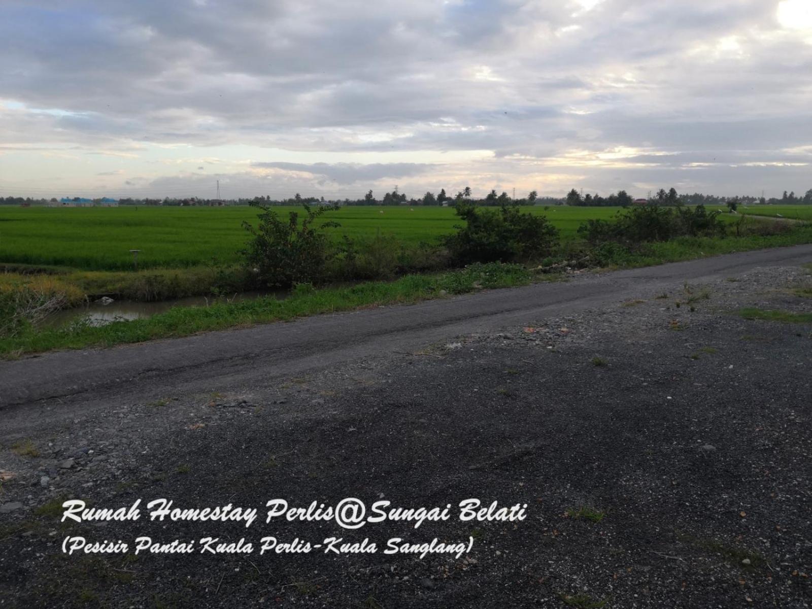 Rhumah Sungai Belati Villa Simpang Empat  Екстериор снимка